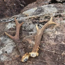 Set Mit 2 Rehstangen 10 Set Mit 2 Rehstangen -Angebote Wikinger Kleidung Store set mit 2 rehstangen 4